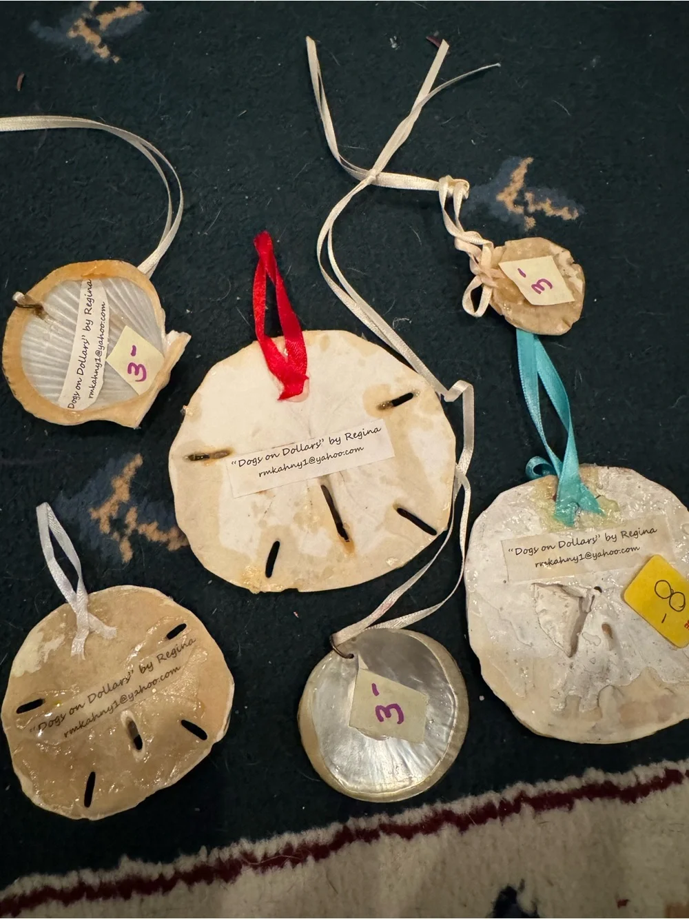 Handmade Cat Photo Ornaments sand dollars real shell- Assorted Cream, White, Tan